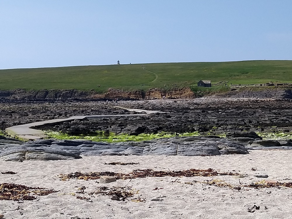 NHS 24 Tips to Enjoy a Safe Healthy Summer