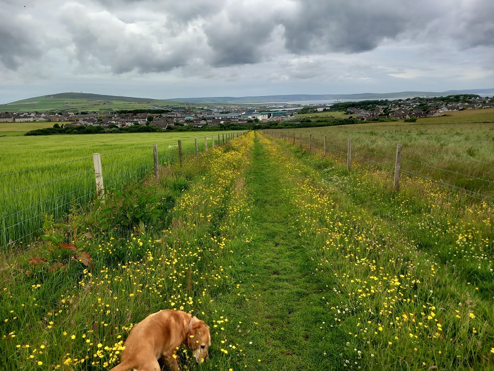 Kirkwall Paths
