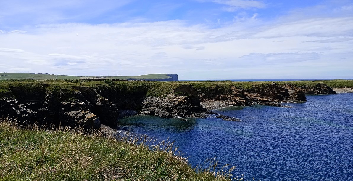 The Human Right to the Environment