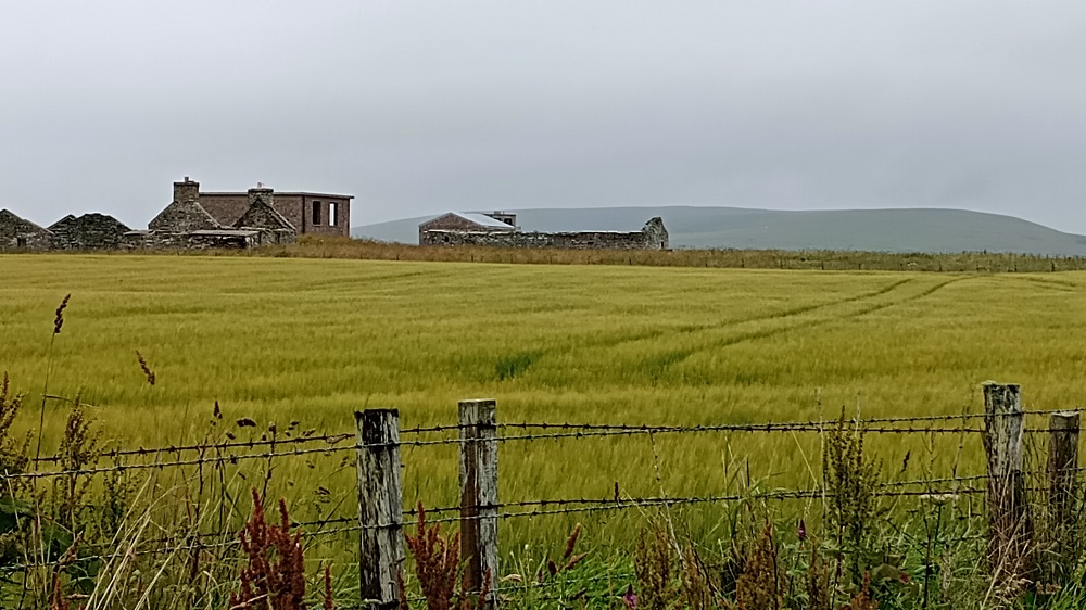 Weather Forecast: Mainly dry with some sunshine. Wet and windy later tonight.