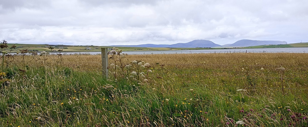 November Date for The Rural and Islands Parliament