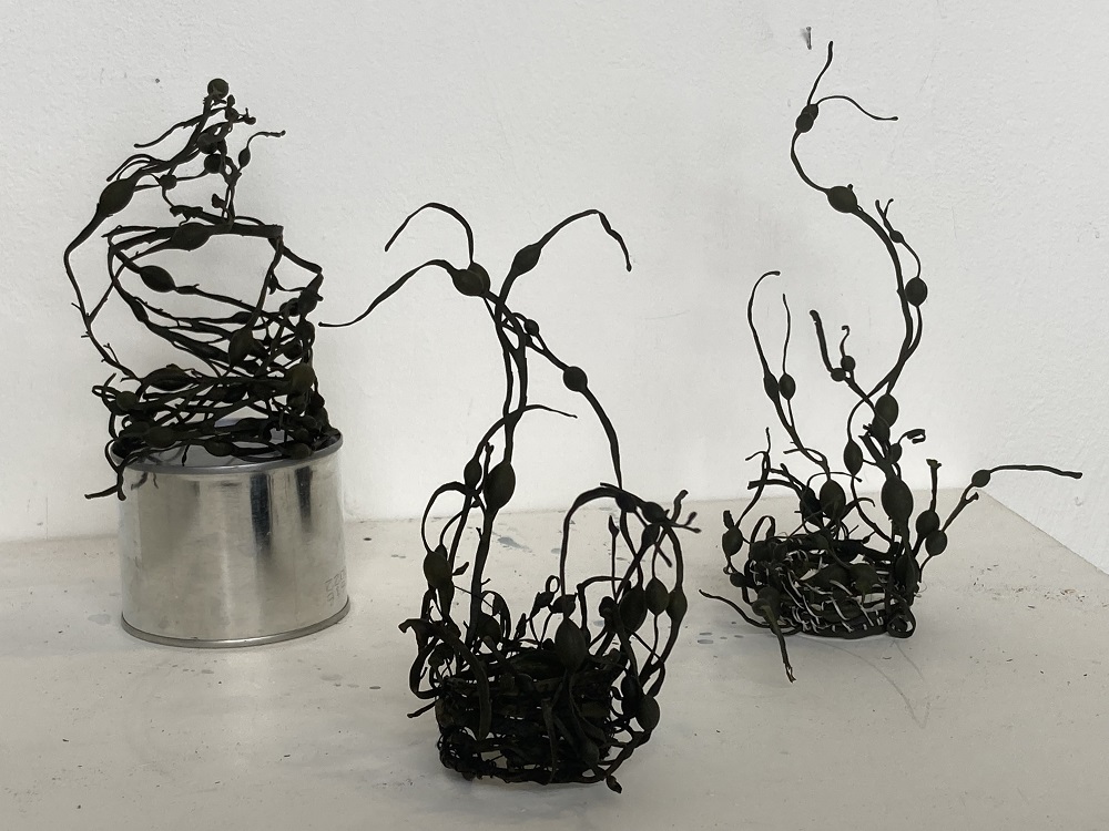 “Expect strange beauty” at the Tang and Ware Exhibition, Northlight Gallery Stromness