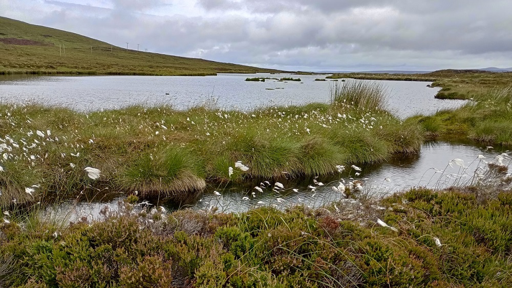 Apply Now for Crown Estate Scotland’s Community/Environment Grants