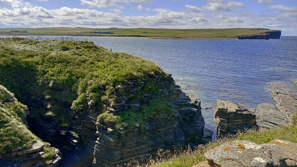 Weather Forecast: Sunshine and showers