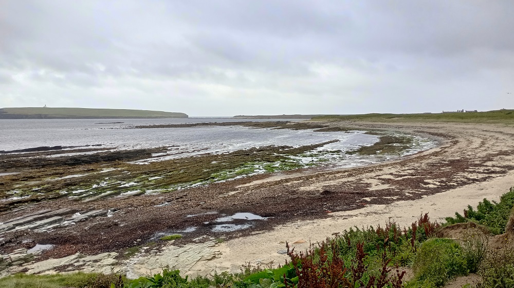 Walking Orkney, Birsay – Around the Bay