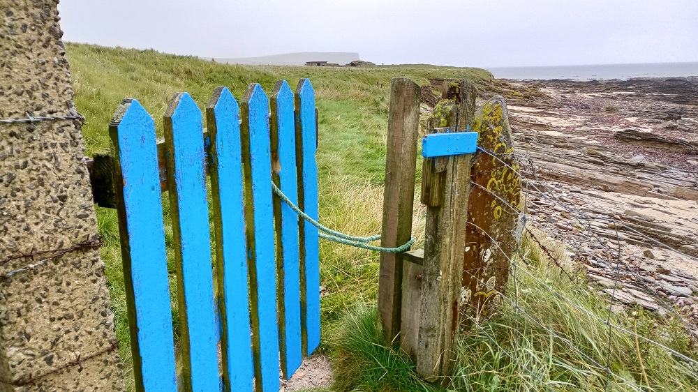 Weather Forecast: Cold, windy and showery today