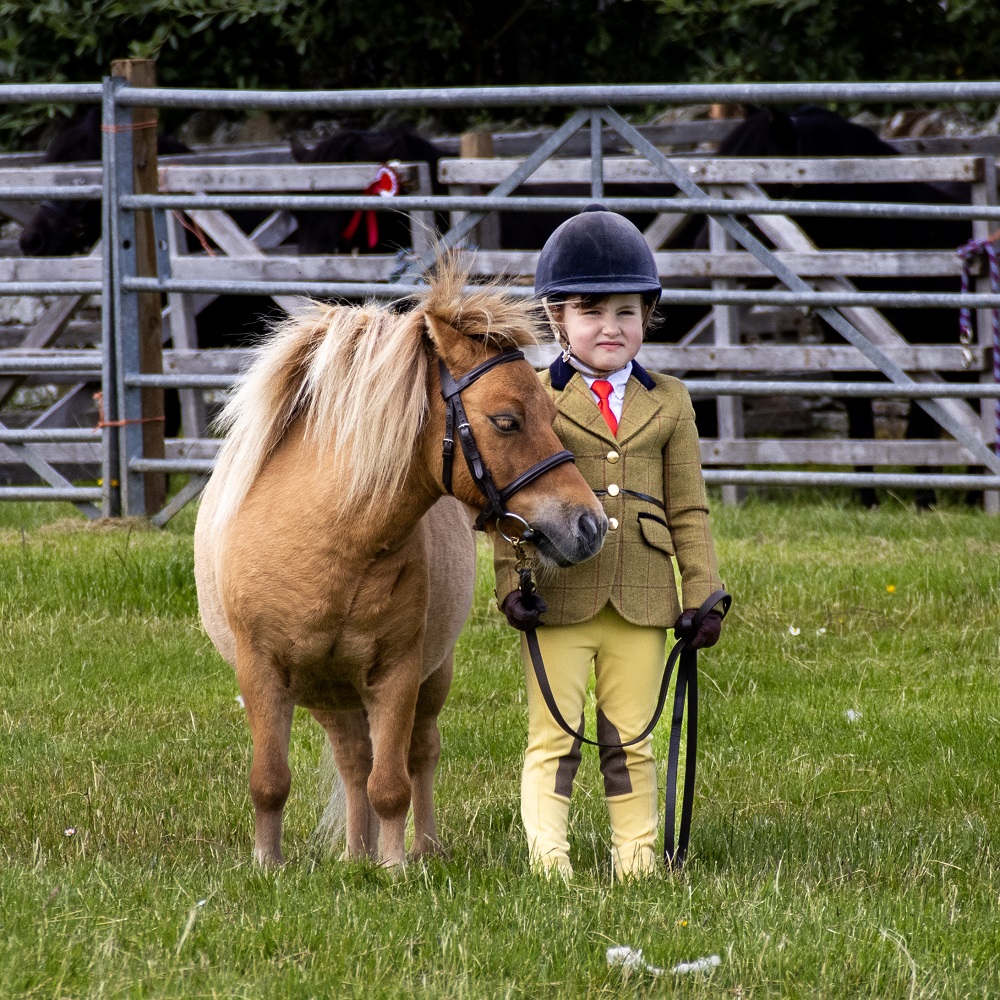 Images of the East Mainland Show by Mike Robertson