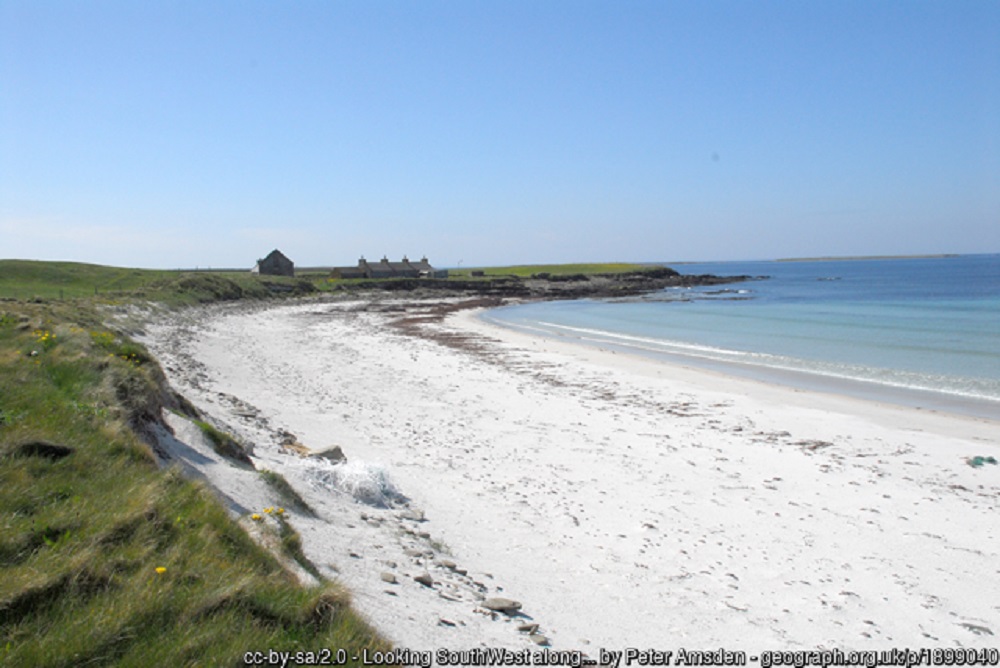 Update from Orkney Islands Council on Burial of Whale Carcasses