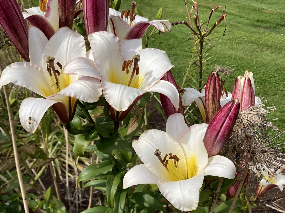 Sharing Views on How we Commemorate a Death