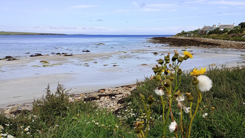 Deadline to apply to a £425,000 Crown Estate Scotland fund is approaching.