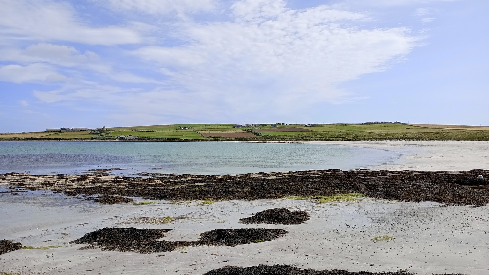 Longing by Paul Laurence Dunbar