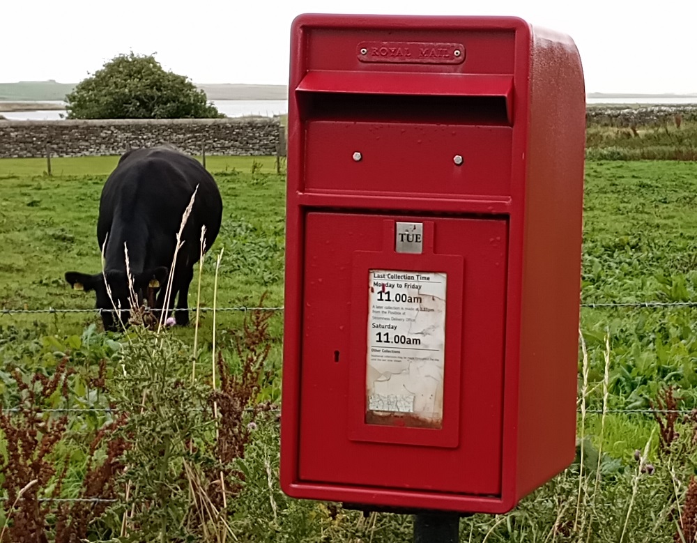 A small post box next to a field where a cow is grazing.