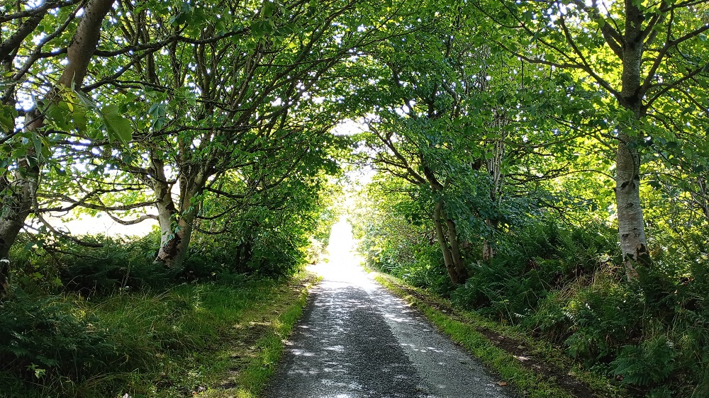 Weather Forecast: Mostly cloudy with rain at times. Some brighter spells Orkney.