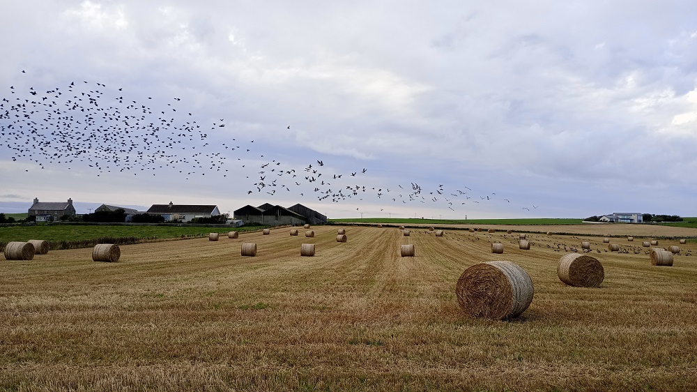 Agri Tourism Sector  Survey : Share Your Views