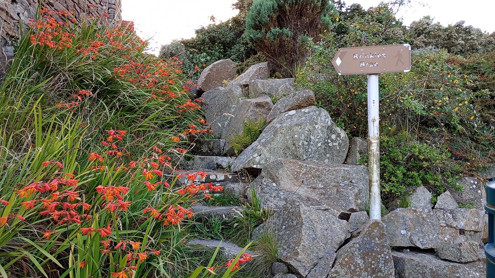 Where are the Stromness Maidens ?