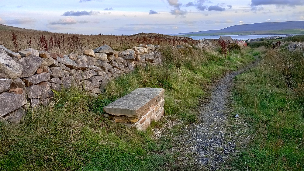 Over 6500 stoats eradicated from Orkney
