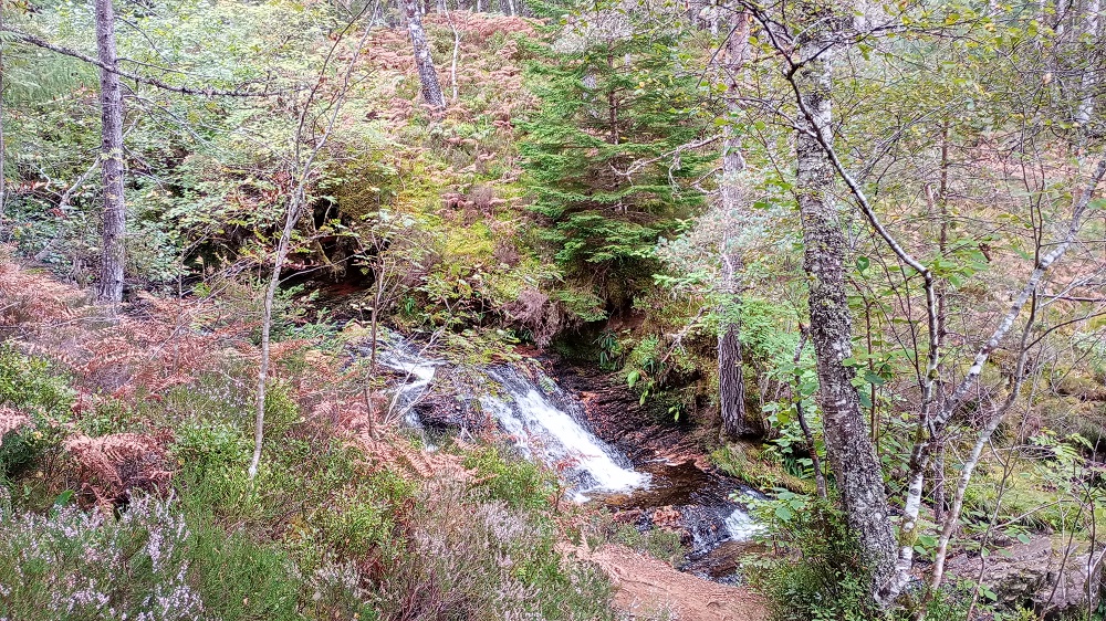 Walking Scotland: The Plodda Falls, Glen Affric
