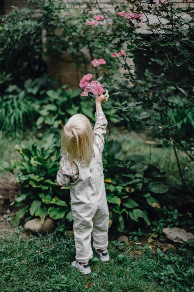 Schools & Nurseries Encouraged to take part in LEAF Outdoor Education Programme