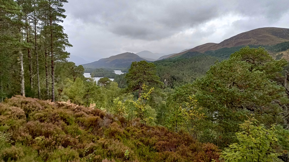 Scotland’s Ecocide Bill: Share your views