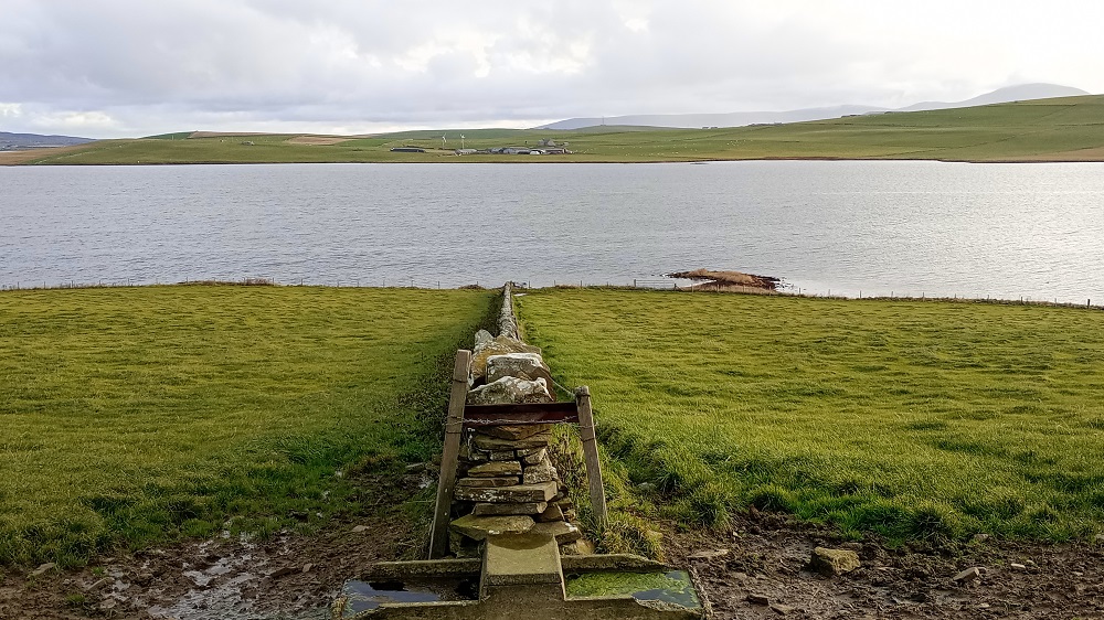 a long stone wall divides a field in half and leads down to the lochside