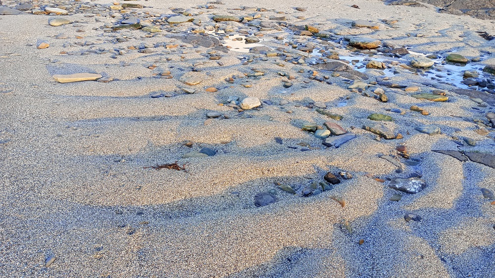 Weather Forecast 27 October : Some sunshine and scattered showers. Strong winds easing.