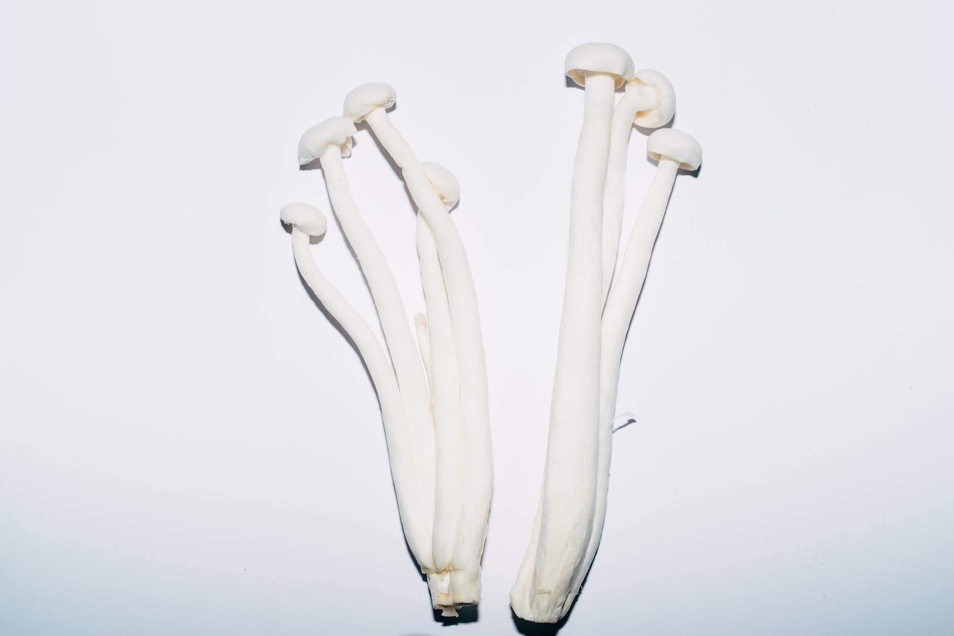  Enoki Mushrooms: Advice from Food Standards Scotland