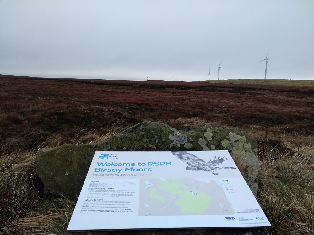RSPB Birsay Moors signage and looking up towards the windturbines in the distance