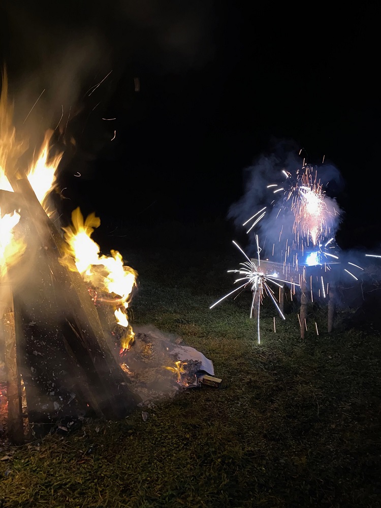 ‘Sing a song of seasons’ Image by Mirran Hall