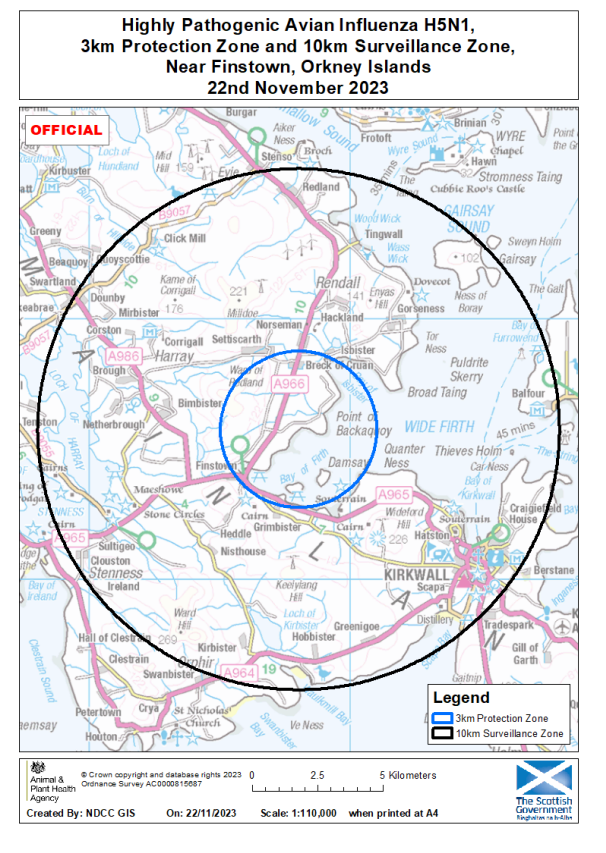 Highly pathogenic avian influenza confirmed near Finstown