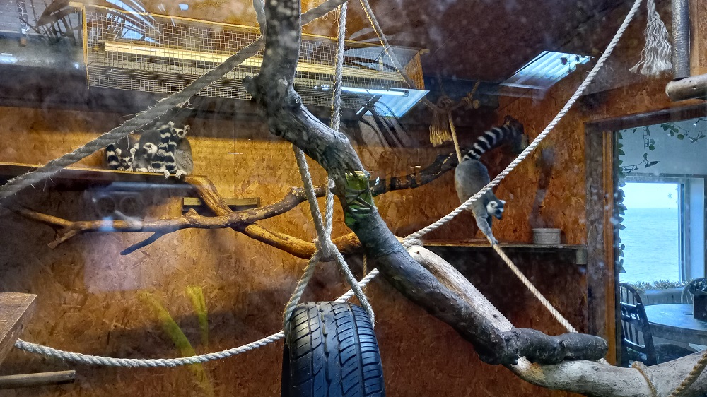 Fernvalley at #Christmas