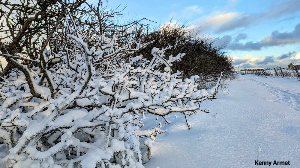 Weather Forecast: Yellow warning Snow & Ice