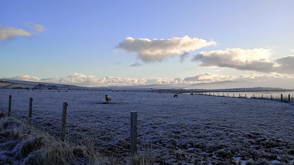 Weather Forecast: Yellow Warning Snow & Ice