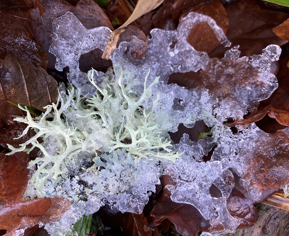 ‘Every day is a fresh beginning’