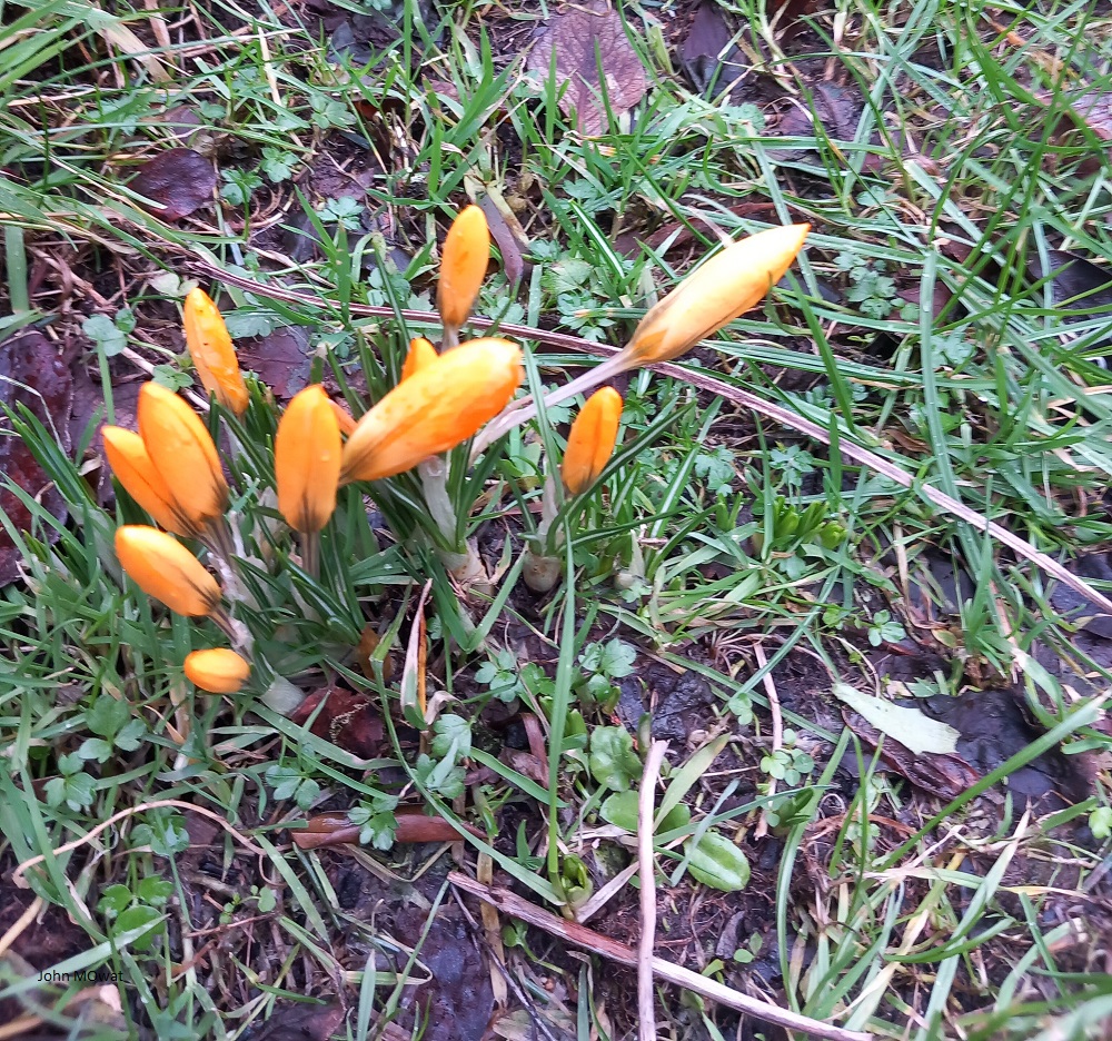 Weather Forecast: Mainly dry and bright today.