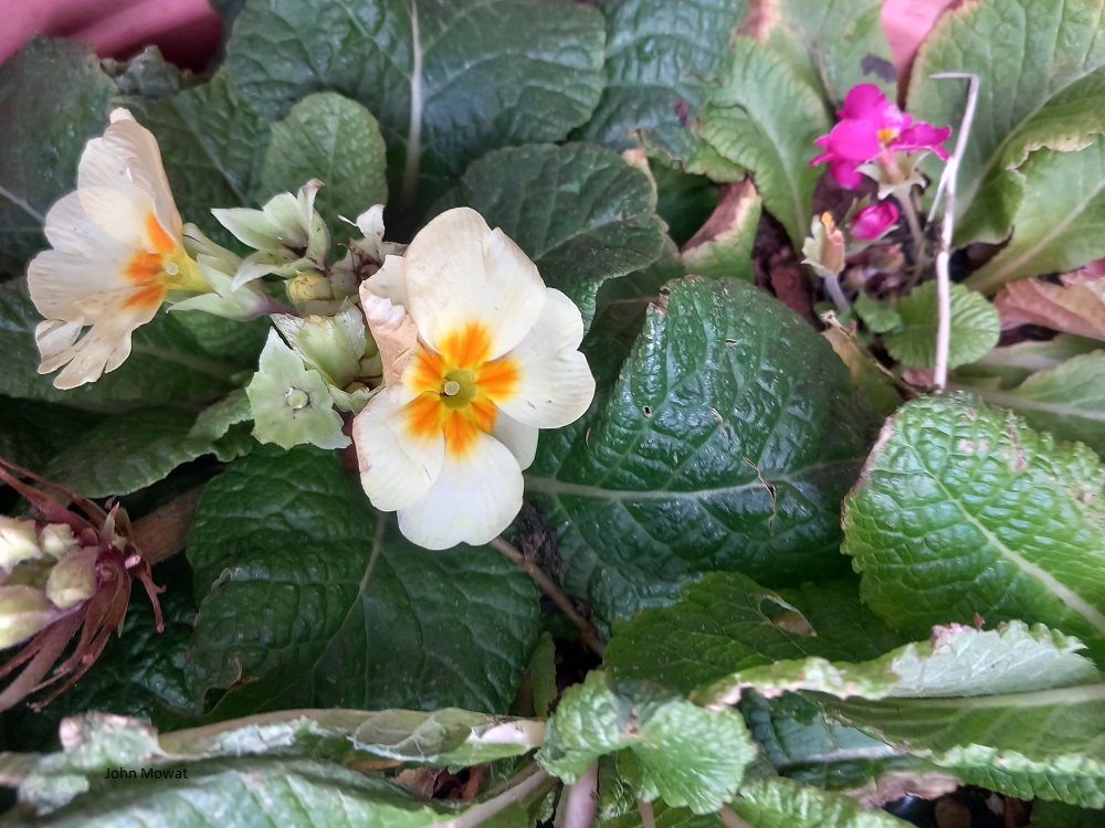 Welcome Signs of Spring