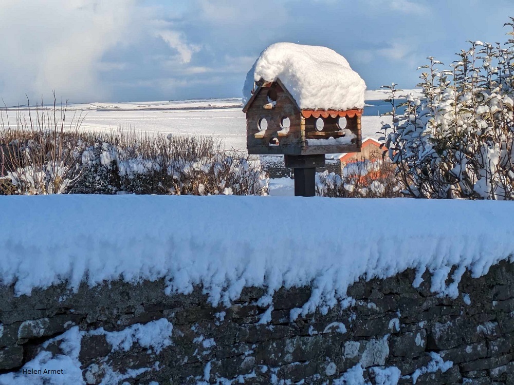 Weather Forecast: Yellow warning snow & ice