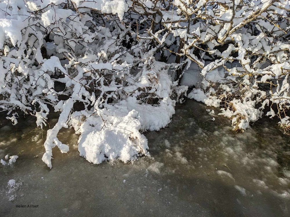 Scottish Water Warn of Frozen Pipes in #Orkney