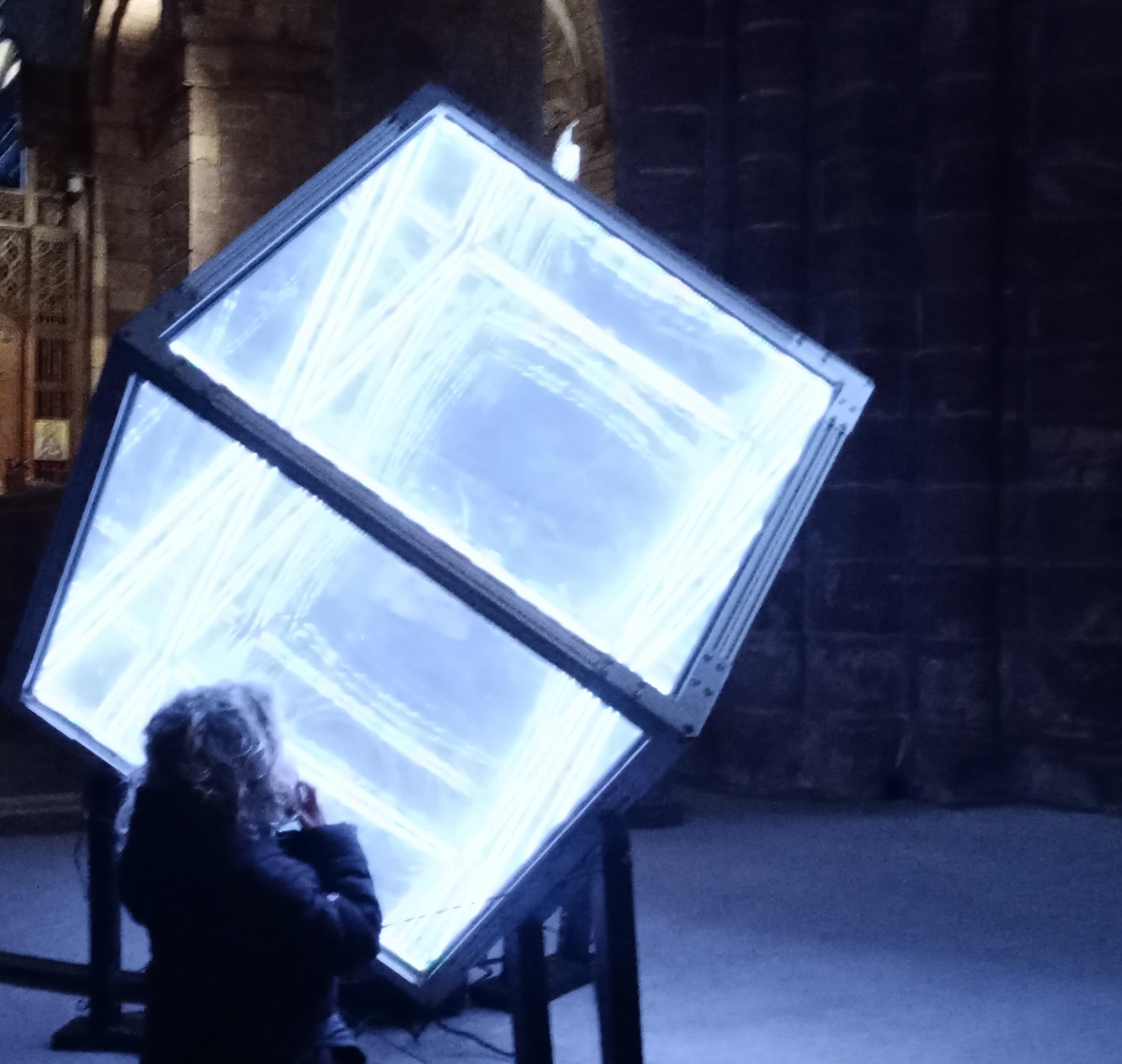 Festival of Light Brightens February Blues