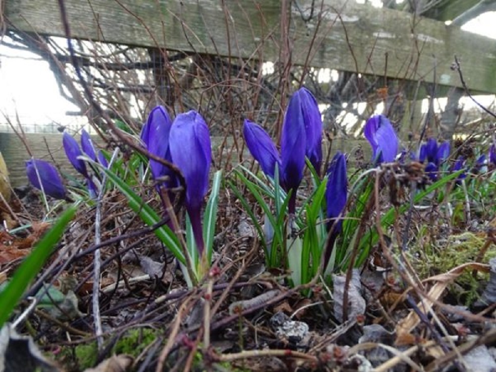 Weather Forecast: Mainly Dry and Bright