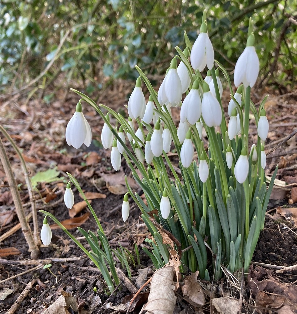 Weather Forecast 9 February: Cloudy with outbreaks of rain, occasionally heavy. Fresh southeast winds