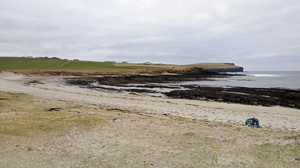 Weather Forecast: Mostly cloudy with a few showers