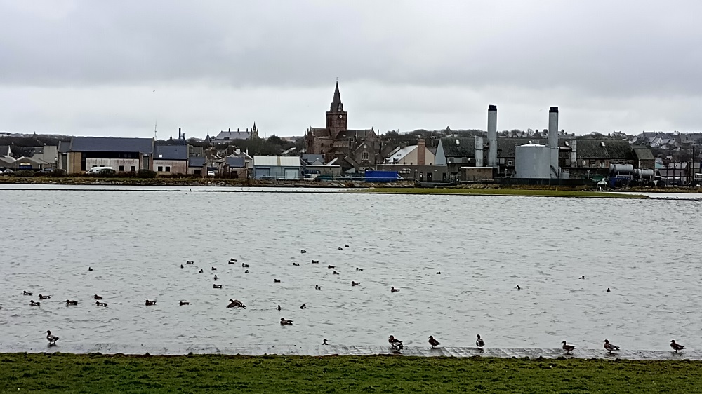 Weather Forecast: Mainly dry with bright or sunny periods and light winds.