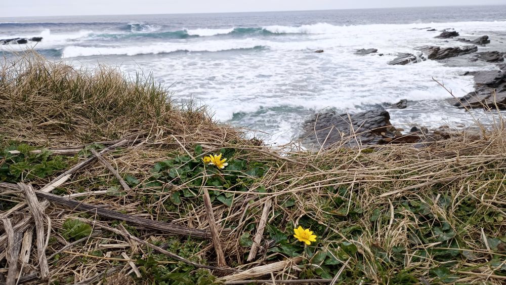 Weather Forecast 28 March : Showers, heavy, wintry at times with hill snow. Windy.