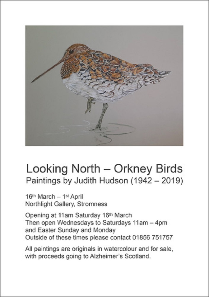 Looking North – Orkney Birds, Paintings by  Judith Hudson