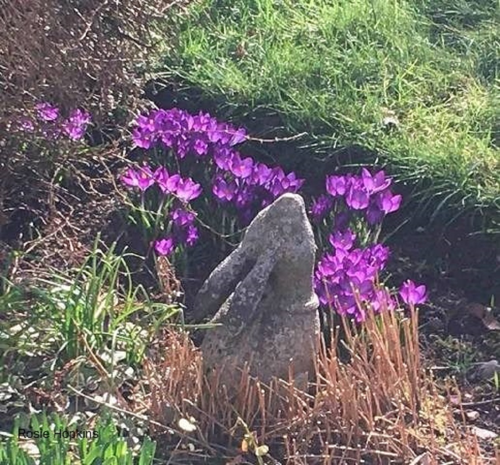 Weather Forecast 30 March: Scattered blustery showers in morning, becoming dry with winds easing.