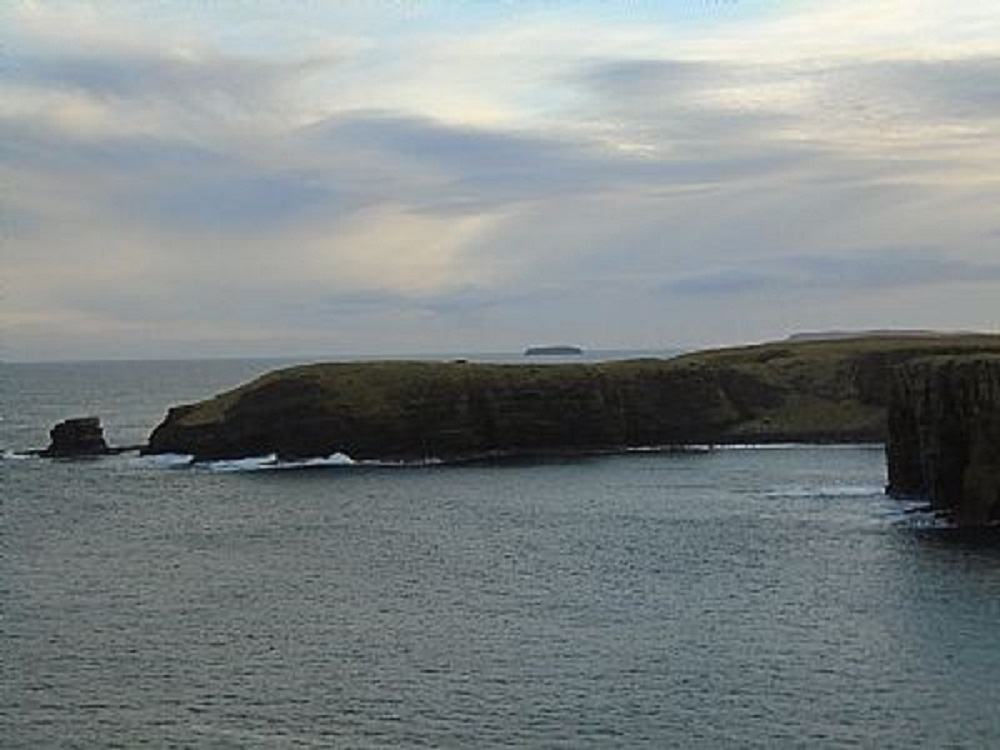 Right Round Mull Head