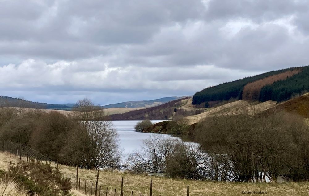 Earth Evanescent for #EarthDay