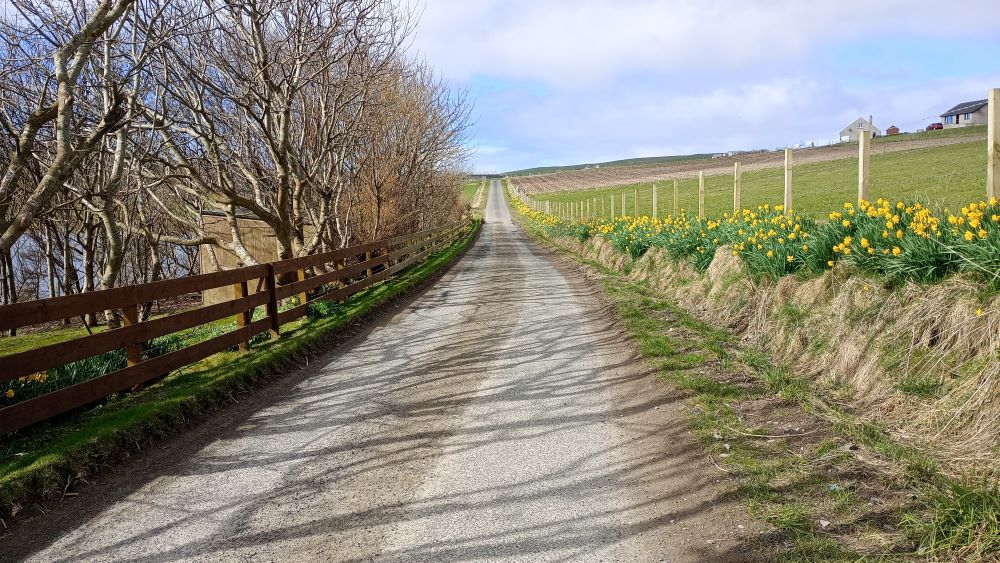 Weather Forecast 7 March: A few showers this morning dry, this afternoon.