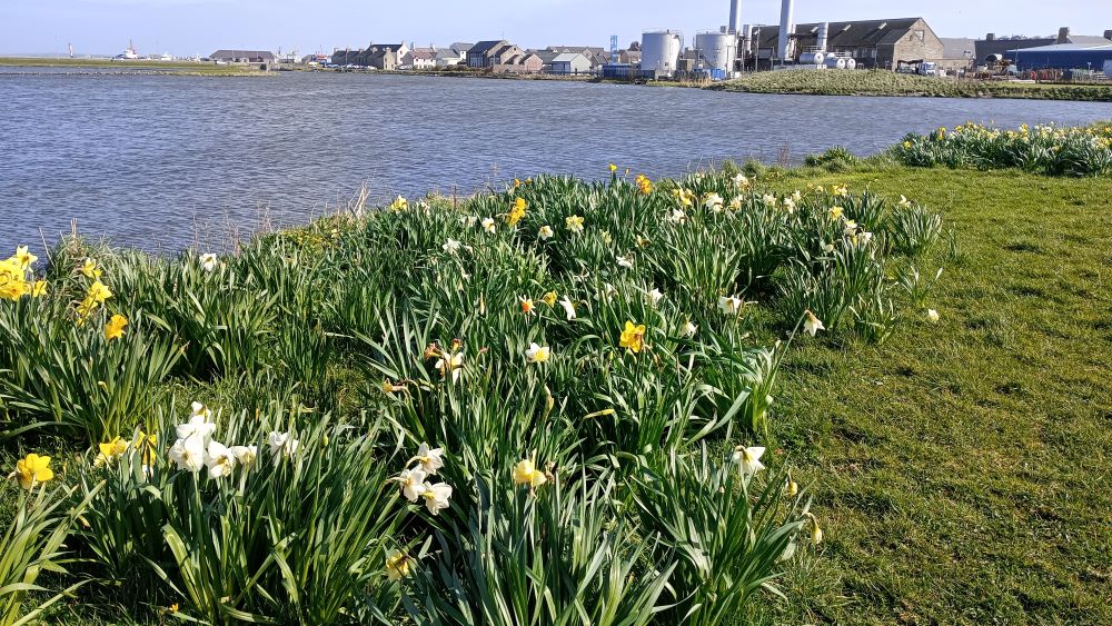 Weather Forecast 1 April : Rain this morning, becoming dry this afternoon.