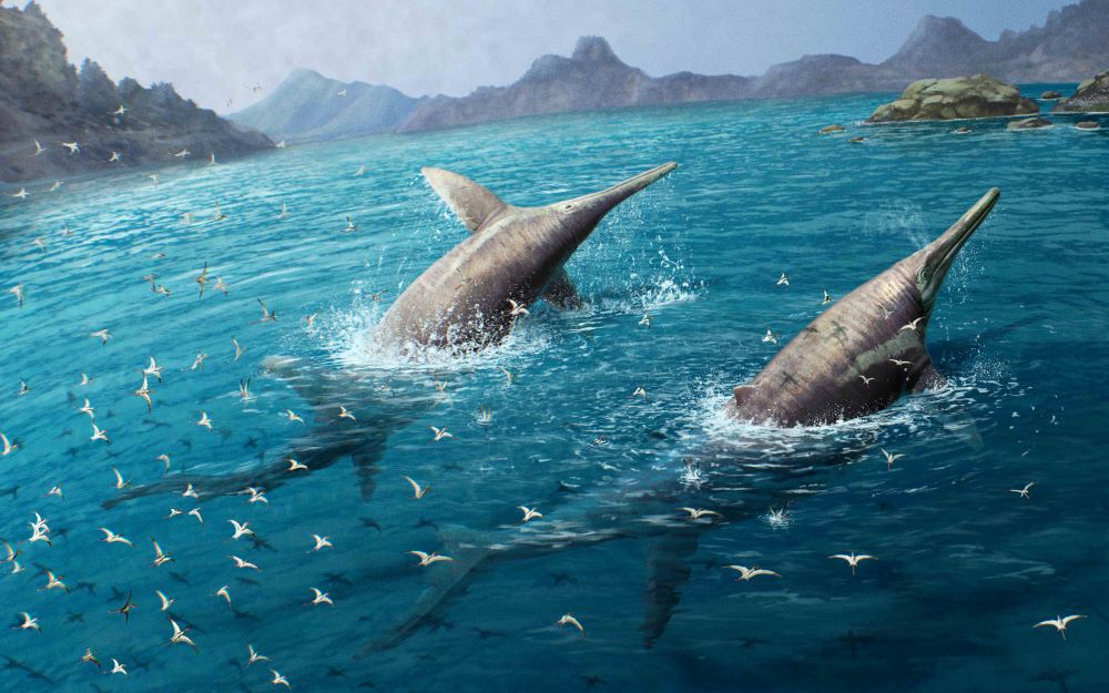 Earth’s Lost Marine Giants